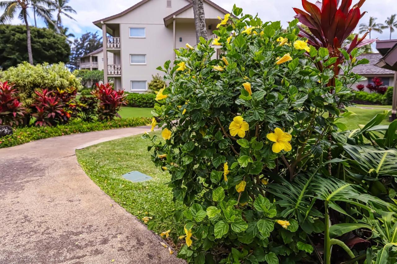 Islander On The Beach Kapa'a Exterior photo